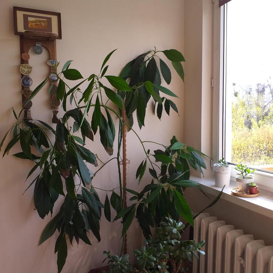 Wakacje Nad Morzem Gdańsk Kültér fotó